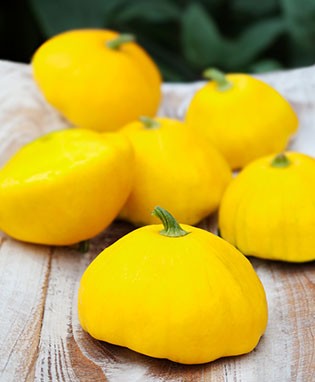 Golden Scallop Pattypan